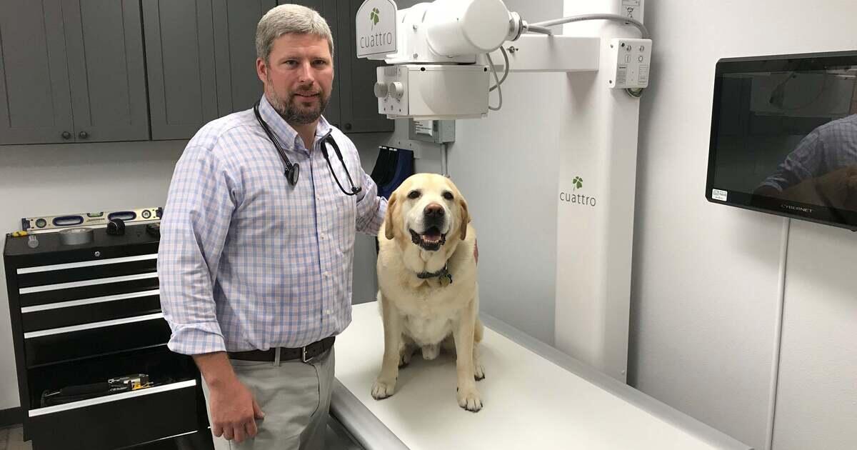 Dog & Cat Veterinarian in Winter Garden, FL Oakes Animal Hospital