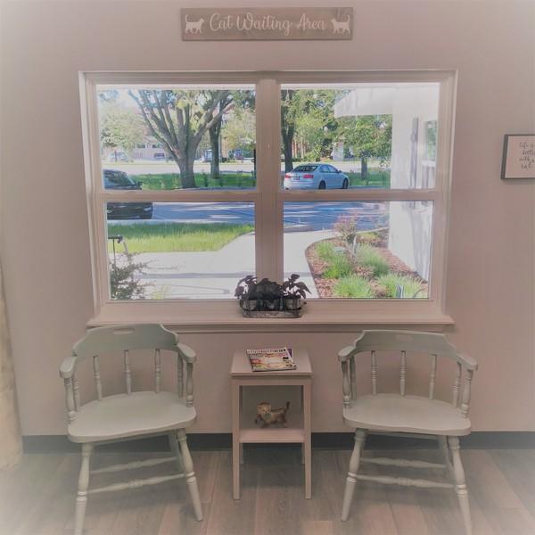 Animal Hospital in Winter Garden, FL | Oakes Animal Hospital